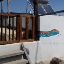 En primer plano una serpiente pintada sobre la pared, en segundo plano dos placas solares térmicas para calentar agua